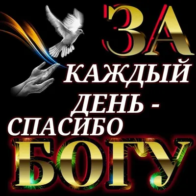 11 КАЖДЫЙ ДЕНЬ СПАСИБО _ - выпуск №1292585 картинки