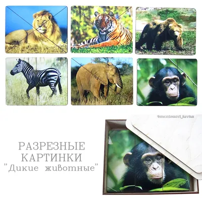 РАЗРЕЗНЫЕ КАРТИНКИ \ картинки