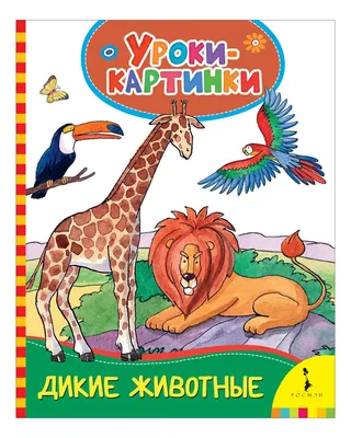 Дикие Животные. Уроки-Картинки - купить книги по обучению и развитию детей  в интернет-магазинах, цены в Москве на СберМегаМаркет | 30848 картинки