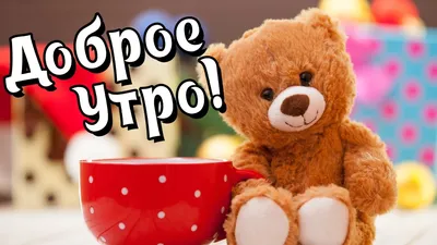 Доброе утро! Твое настроение, и мое вдохновение, доброе утречко хорошего  дня, - YouTube картинки