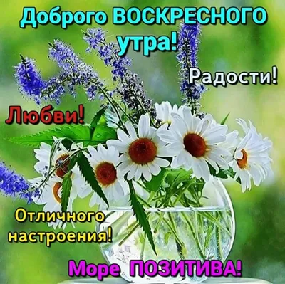 Открытка замечательного воскресного дня - 79 фото картинки