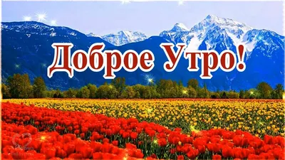 Видеооткрытка Доброго Апрельского утра! Весеннего настроения! Пусть Апрель  принесёт много радости и счастья! картинки