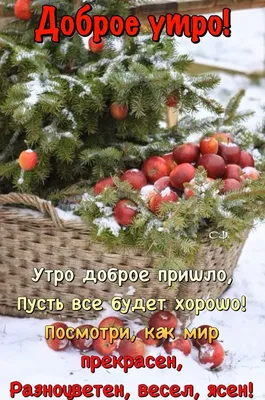 Идеи на тему «Доброе зимнее утро!» (75) | доброе утро, открытки, зимние  цитаты картинки