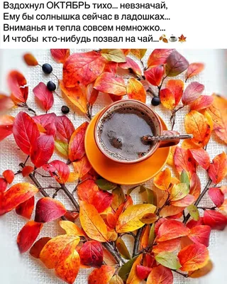 Марина Алекминская в Instagram: «🍁🍂🍁☕️☕️☕️🍁🍂🍁» | Октябрь, Осенние  картинки, Осень картинки