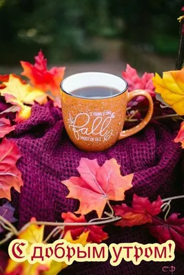 Pin by ÐÐ»ÐµÐ½Ð° ÐÑÐ³Ð°ÐµÐ²Ð° on Доброе утро Октябрь | Autumn tea, Good  morning coffee, Fall картинки