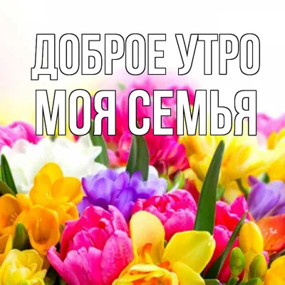 Открытка с именем МОЯ СЕМЬЯ Доброе утро картинки. Открытки на каждый день с  именами и пожеланиями. картинки