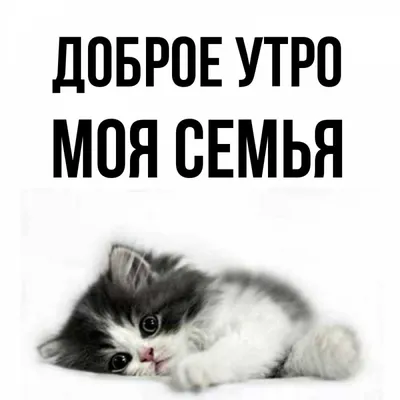 Открытка с именем МОЯ СЕМЬЯ Доброе утро картинки. Открытки на каждый день с  именами и пожеланиями. картинки