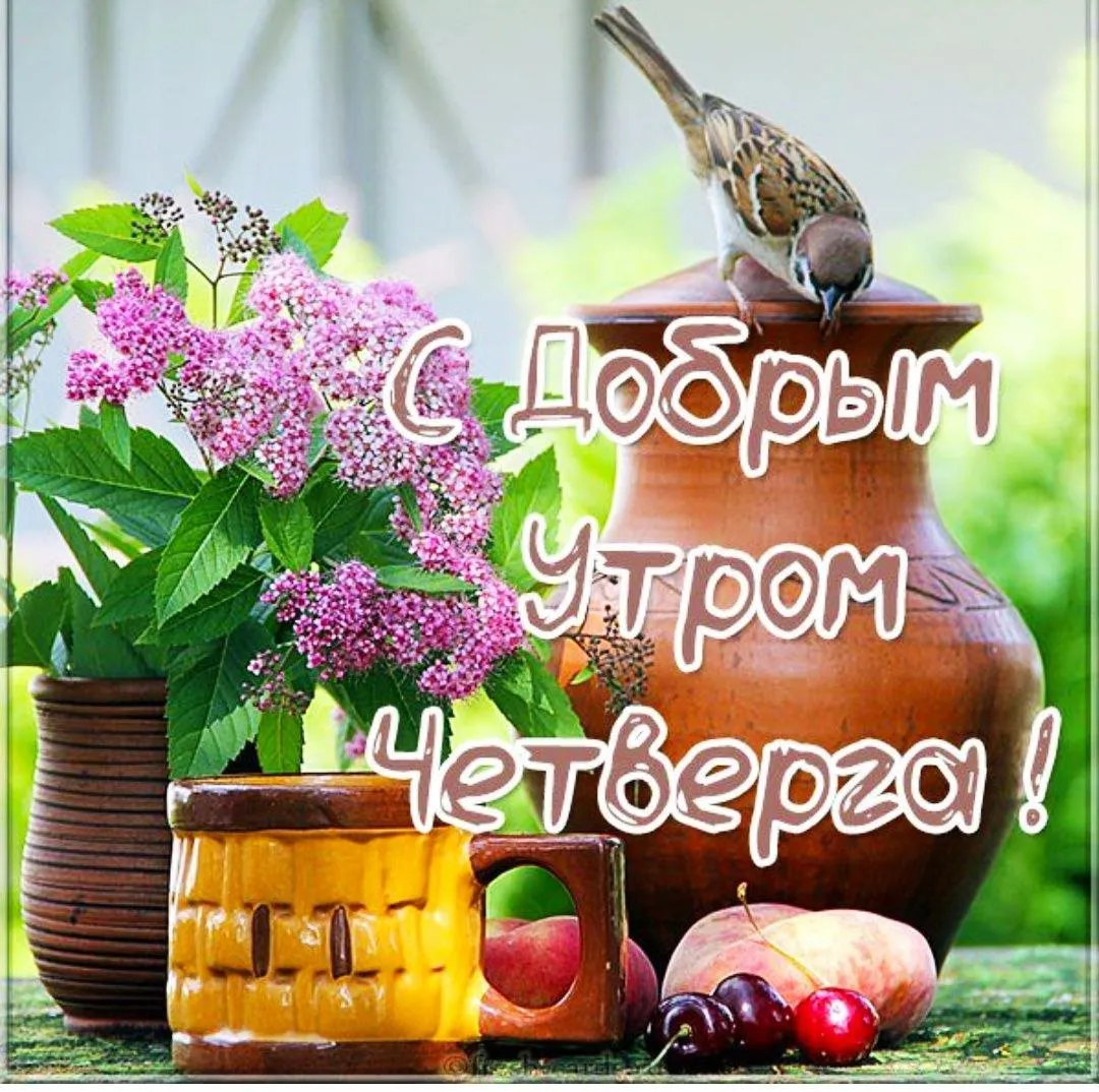 Доброе утро четверг картинки