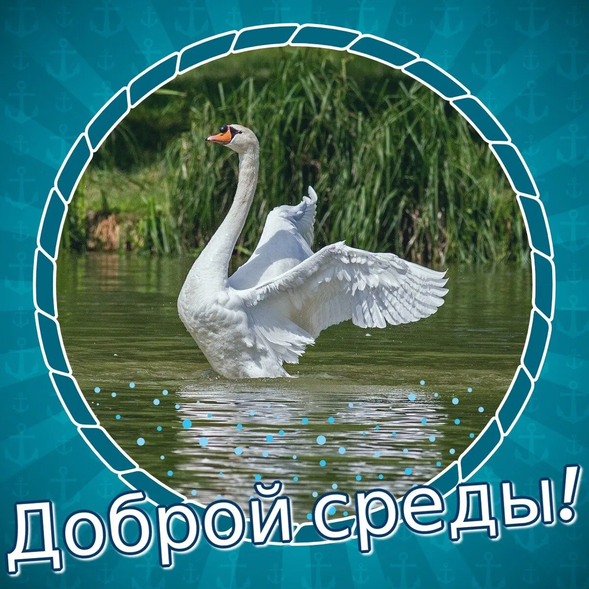Всем доброй среды