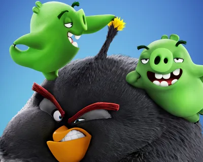 Обои the angry birds movie 2, свинки, птичка, злость на рабочий стол картинки