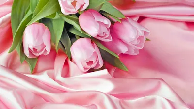 Обои цветы 1920x1080 фото обои цветов HD wallpapers flowers скачать обои  высокого качества картинки