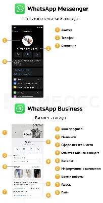 Бизнес-аккаунт WhatsApp: полная инструкция по использованию картинки