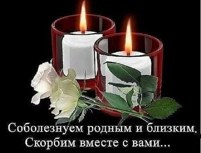 تغريدة / Twitter картинки