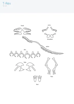 Трафарет для 3D ручки – скелет динозавра | Лучшие самоделки своими руками -  Best DIY картинки