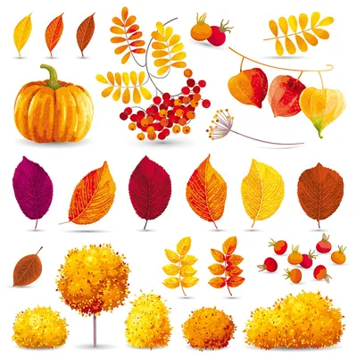 autumn, fall, printables, pumpkin, осень, осенние листья, рябина, тыква,  для печати, для вырезания | Осенние деревья, Осенние тыквы, Акварельные  иллюстрации картинки