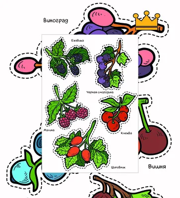 Ягоды - картинки для вырезания. Серия 3 листа - Worksheets.ru картинки