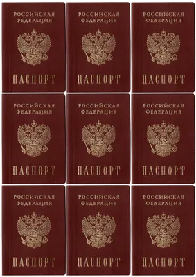 Печать на сахарной бумаге, Паспорт-7 купить картинки