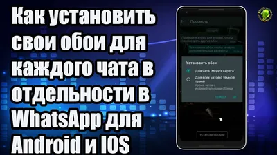 Как установить свои обои для каждого чата в отдельности в WhatsApp для  Android и IOS - YouTube картинки