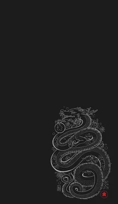 ОБОИ НА ТЕЛЕФОН | Dragon wallpaper iphone, Hypebeast wallpaper, Anime  wallpaper iphone картинки