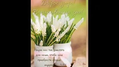 ДОБРОЕ УТРО!!!☀️БЛАГОСЛОВЕННОГО ДНЯ!!🕊️ Христианское пожелание - YouTube картинки