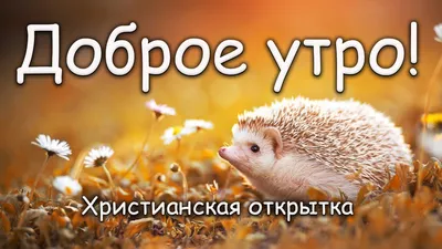 Христианская открытка | Доброе утро! - YouTube картинки