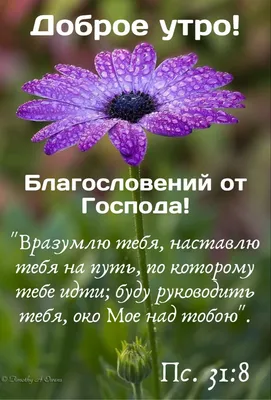 Идеи на тему «Благословенного дня» (87) в 2023 г | благословение,  христианские цитаты, христианские картинки картинки