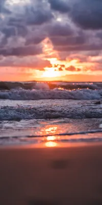 Wallpaper sunset sea | Ocean wallpaper, Sunset sea, Summer wallpaper картинки