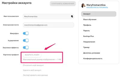 Как поменять фото профиля? – Справочный центр Duolingo картинки