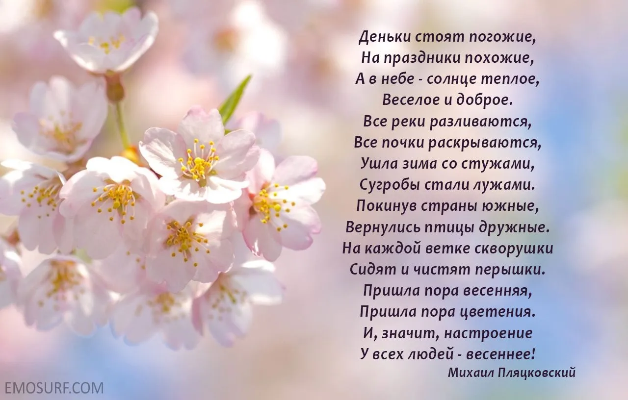 Люблю весну стихи. Краски весны стихи. Стихи о весне красивые. Стихи о весне короткие красивые. Самые красивые стихи о весне.