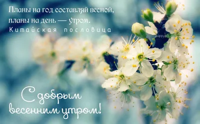 С добрым весенним утром! Красивые картинки о весне с надписями. | Картинки,  Доброе утро, Весна картинки