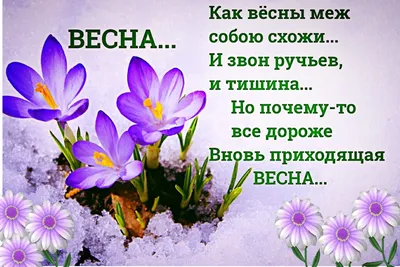 Слободзейским школьникам рассказали о весне 1944-го | Новости Приднестровья картинки