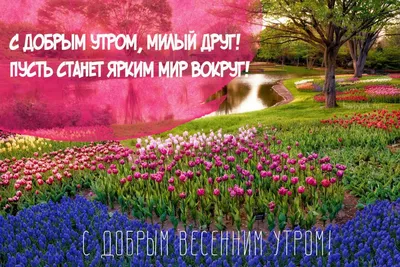 С добрым весенним утром! Красивые картинки о весне с надписями. | Картинки,  Доброе утро, Весна картинки