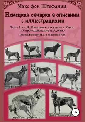 Немецкая овчарка в описании с иллюстрациями. Часть I из III: Овчарки и  пастушьи собаки, их происхождение и родство, Макс фон Штефаниц – скачать  книгу бесплатно fb2, epub, pdf на Литрес картинки