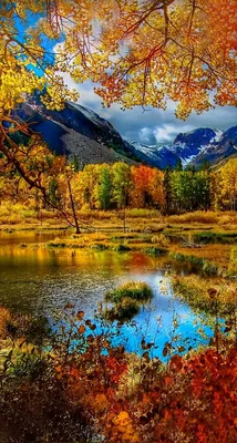 Scenery wallpaper, Autumn scenery, Fall background wallpaper картинки