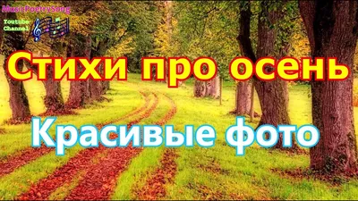 Стихи про осень. Красивые картинки. Как прекрасен мир. Хорошего  настроения!!! - YouTube картинки