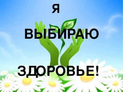 Быть здоровым, жить активно – это стильно, позитивно» - 2021 | Статьи о  мероприятиях | Статьи | МБУ ДО ''Дворец пионеров и школьников г.Курска'' картинки