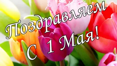 🌷С 1 Мая 2021! Красивое поздравление с 1 Мая! Музыкальная открытка с  Первомаем! С праздником 1 Мая!🌷 - YouTube картинки