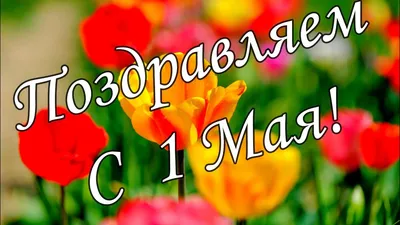 🌷С 1 Мая 2021! Красивое поздравление с 1 Мая! Музыкальная открытка с  Первомаем! С праздником 1 Мая!🌷 - YouTube картинки