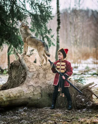 Фотосессия с волком в Москве и области картинки