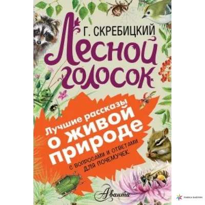 Лесной голосок. С вопросами и ответами для почемучек, купить в  интернет-магазине: цена, отзывы – Лавка Бабуин, Киев, Украина картинки