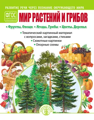 Мир растений и грибов: Тематический картинный материал с вопросами  загадками стихами… - купить книги по обучению и развитию детей в  интернет-магазинах, цены в Москве на СберМегаМаркет | 0418 картинки