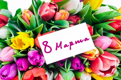 Поздравления с 8 марта - Стихи и открытки на 8 Марта - СМС на Восьмое марта  - Апостроф картинки