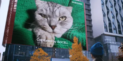 Фото кота 28х22 метра показало возможности 200 МП сенсора от Samsung /  Смартфоны и мобильные телефоны / iXBT Live картинки