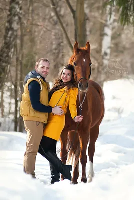 Фотосессия с лошадьми - Конный клуб «Сивка» картинки