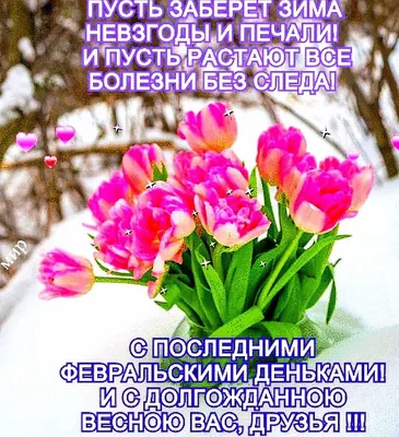 С последним 🌷☃️🌷 днем Зимы! | Зима, Открытки, Весна картинки