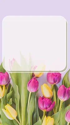 Оформление сторис Instagram. Фон с тюльпанами | Paper background design,  Floral cards design, Floral poster картинки