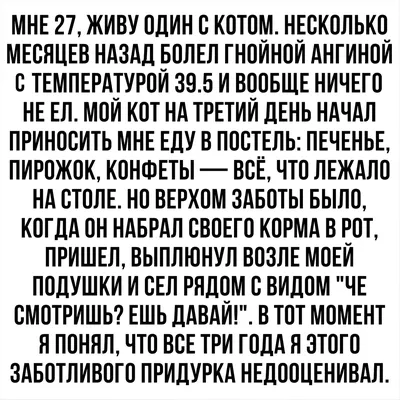 Веселые и жизненные картинки с надписями со смыслом (10 фото) - Зашибись -  15 октября - 43490809484 - Медиаплатформа МирТесен картинки