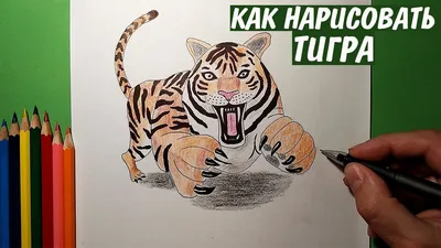 How to draw a TIGER. Pencil drawing / Just drawing - YouTube картинки