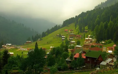 Картинка Ризе, Village, Rize, природа, Турции, пейзажи, деревня, nature,  landscapes, Turkey 1440x900 скачать обои на рабочий стол бесплатно, фото  66572 картинки