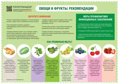 Рекомендации Роспотребнадзора по выбору фруктов и овощей в летний период |  Новости Иваново - БезФормата картинки